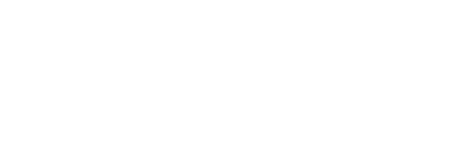 Skrastiņš & Dzenis Latvian Law Firm